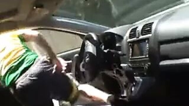 Lisa Lipps – soccer mom