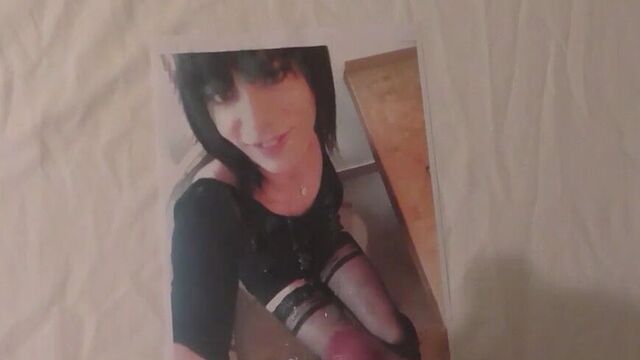 Steffaniels tribute 1