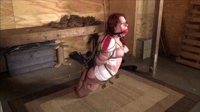 Captured by the kinky couple part2