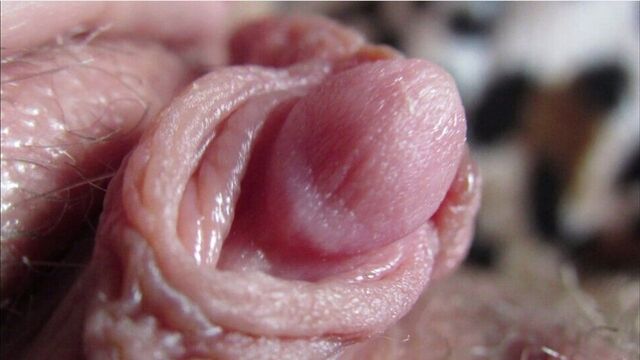 Big Clit Compilation Close-Up