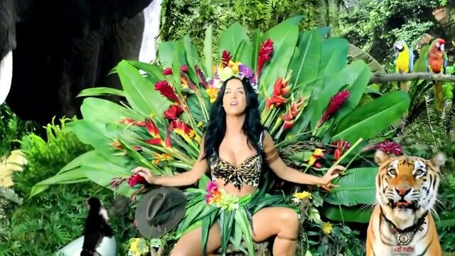 Katy Perry - Roar (Porn Music Video)