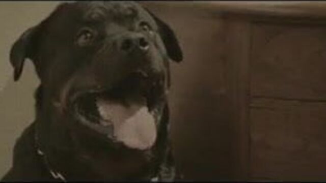 Elena Anaya in Sex and Lucia