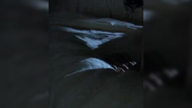 Marion Cotillard - Public Enemies