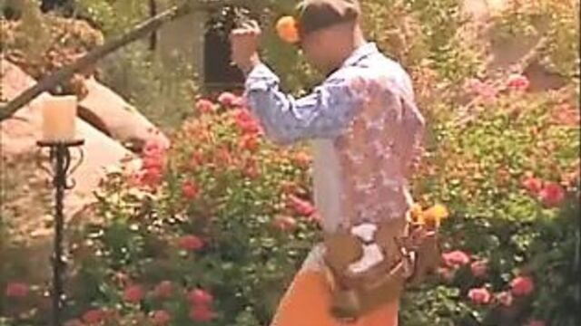 Alyssa Milano - Hugo Pool