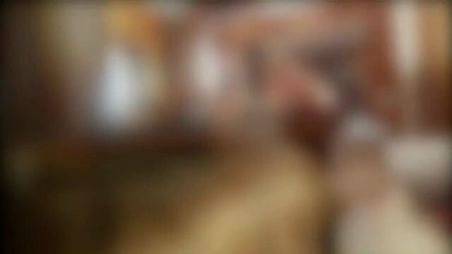 Curiosity Got The Kittten