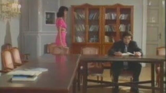 Anita Blond the perfect Assistent