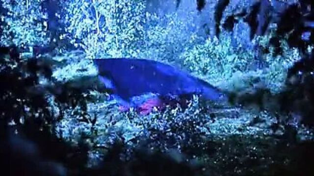 Patricia Arquette - Human Nature