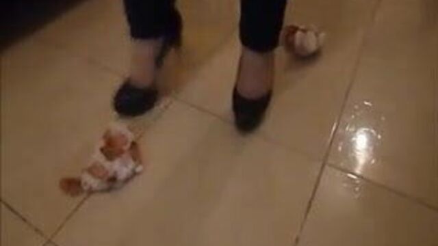 Heels crush